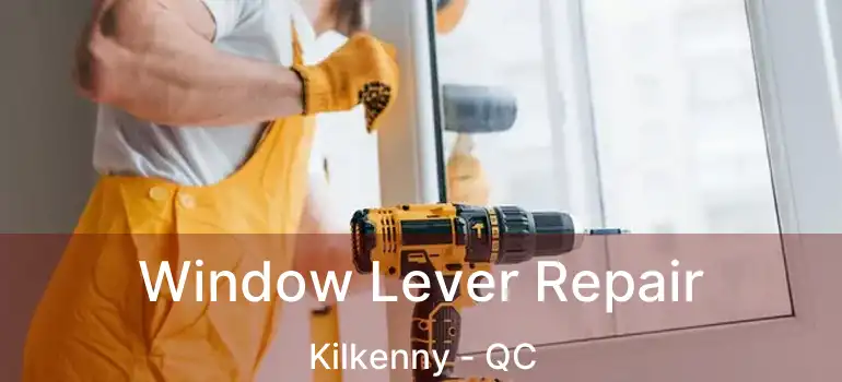  Window Lever Repair Kilkenny - QC