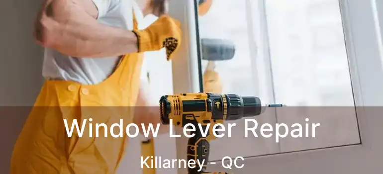  Window Lever Repair Killarney - QC