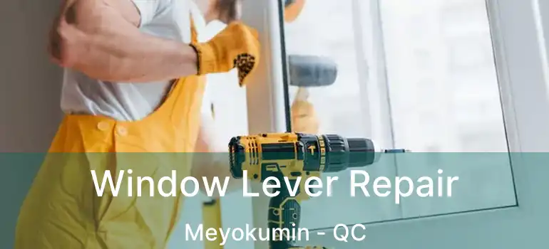  Window Lever Repair Meyokumin - QC