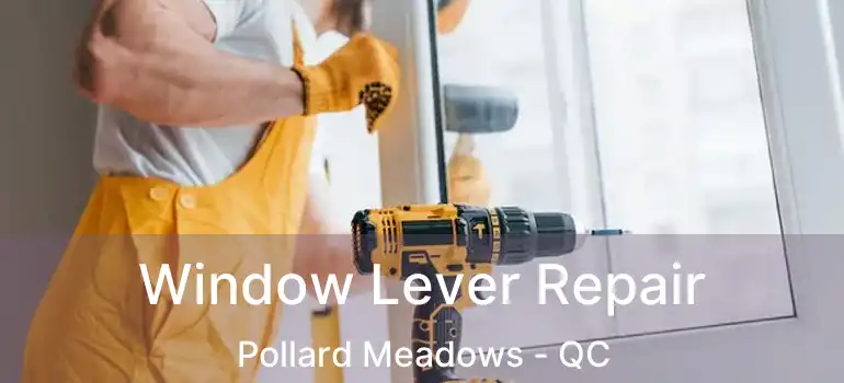  Window Lever Repair Pollard Meadows - QC