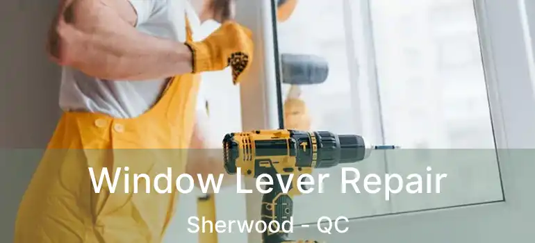 Window Lever Repair Sherwood - QC