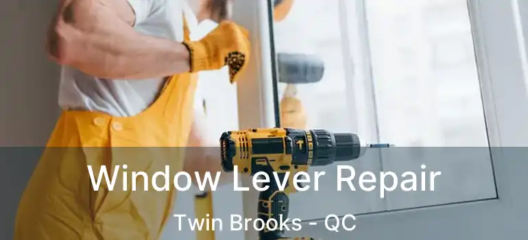  Window Lever Repair Twin Brooks - QC