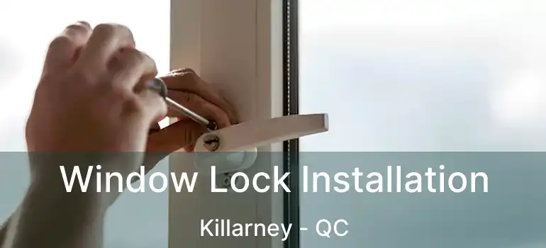  Window Lock Installation Killarney - QC