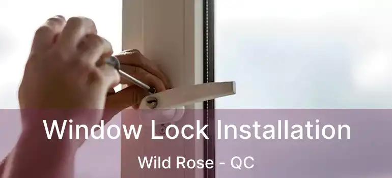  Window Lock Installation Wild Rose - QC