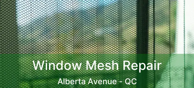  Window Mesh Repair Alberta Avenue - QC