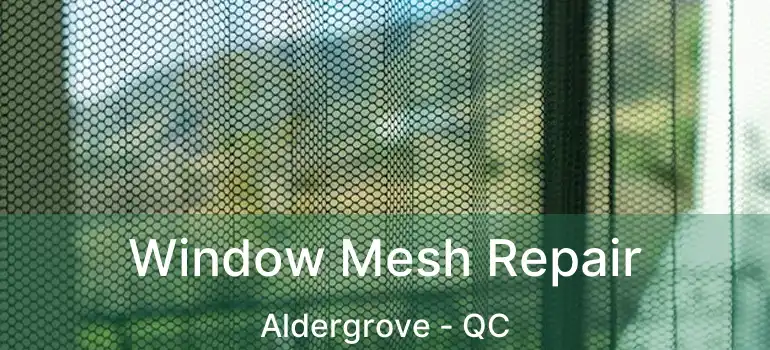  Window Mesh Repair Aldergrove - QC