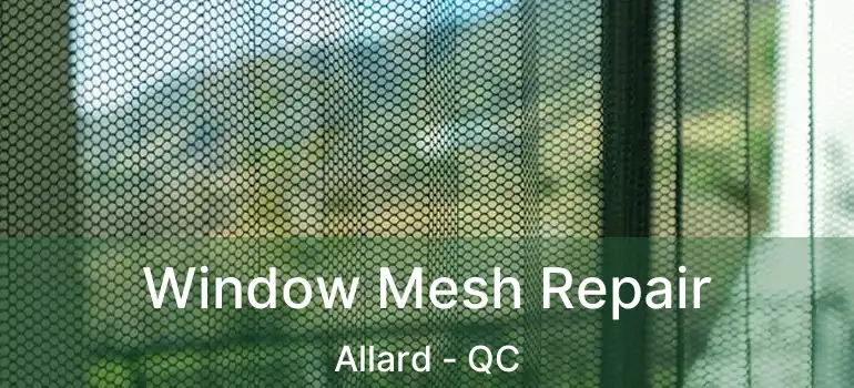  Window Mesh Repair Allard - QC