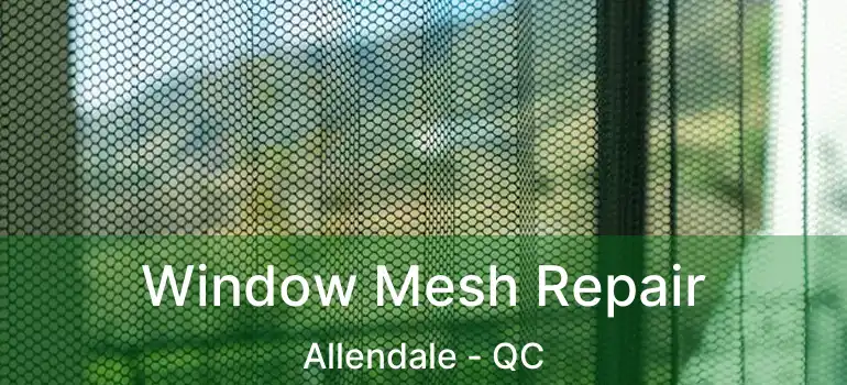  Window Mesh Repair Allendale - QC