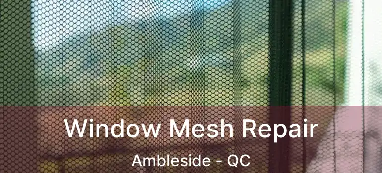  Window Mesh Repair Ambleside - QC