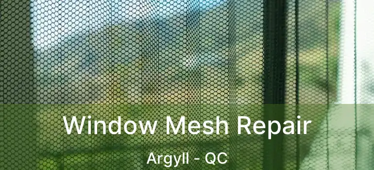  Window Mesh Repair Argyll - QC