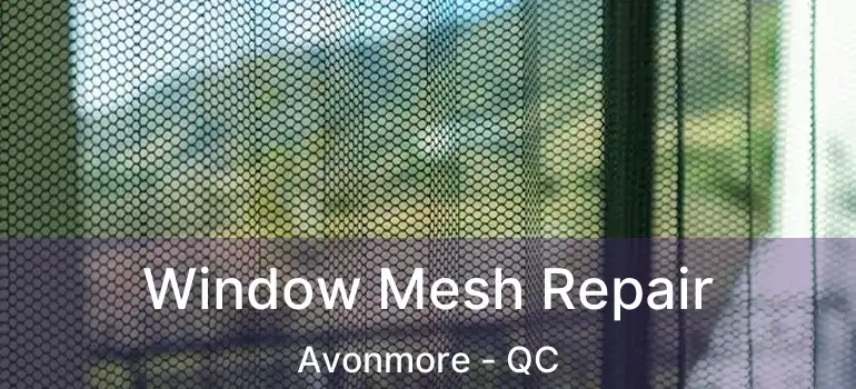  Window Mesh Repair Avonmore - QC