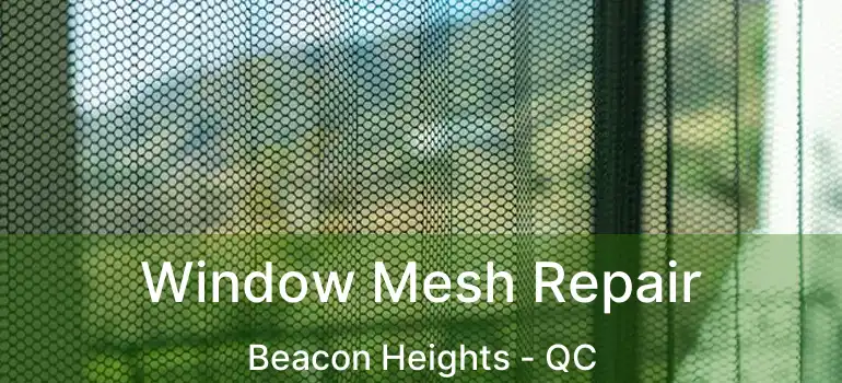  Window Mesh Repair Beacon Heights - QC