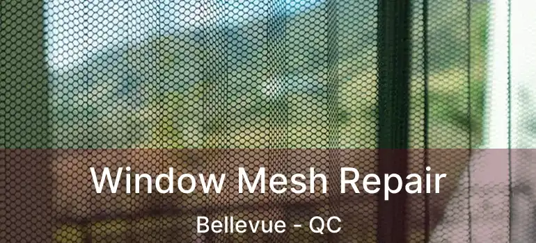  Window Mesh Repair Bellevue - QC