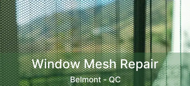  Window Mesh Repair Belmont - QC