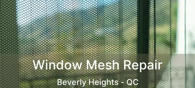  Window Mesh Repair Beverly Heights - QC