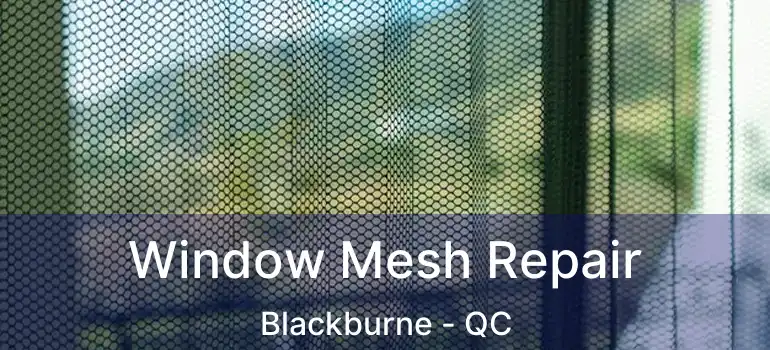  Window Mesh Repair Blackburne - QC