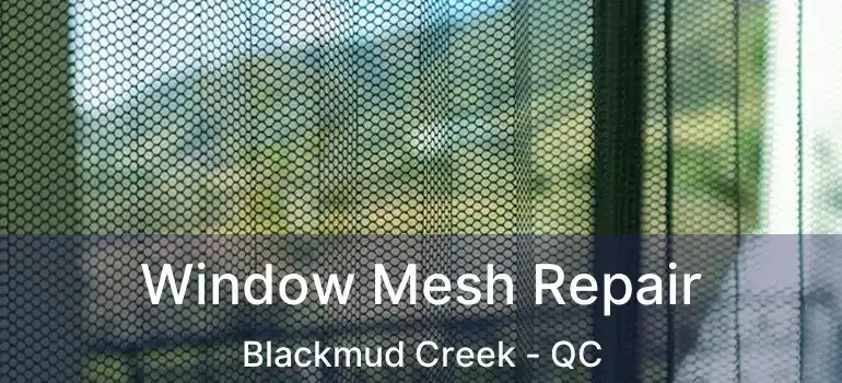  Window Mesh Repair Blackmud Creek - QC