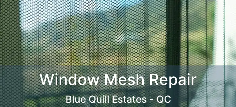  Window Mesh Repair Blue Quill Estates - QC