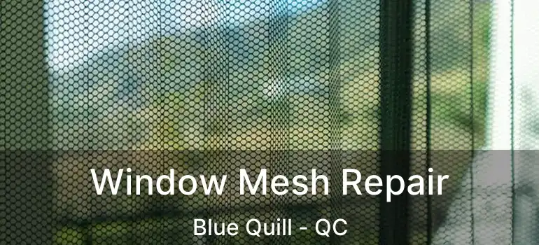  Window Mesh Repair Blue Quill - QC
