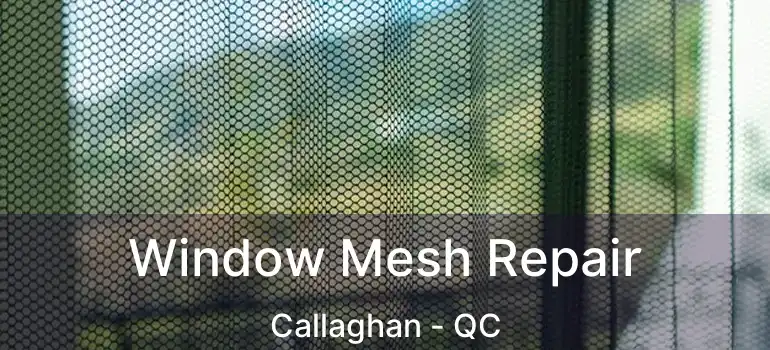  Window Mesh Repair Callaghan - QC