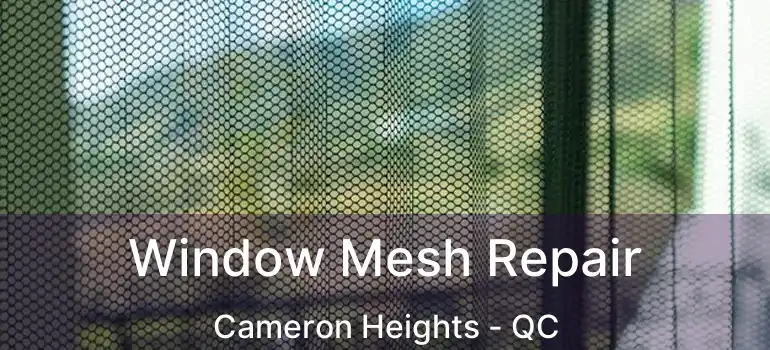  Window Mesh Repair Cameron Heights - QC