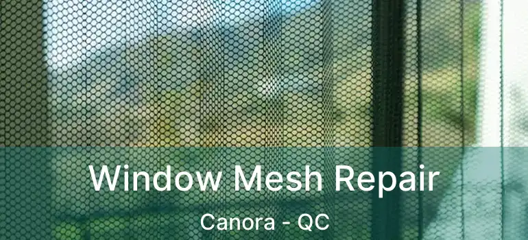  Window Mesh Repair Canora - QC