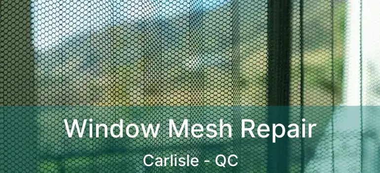  Window Mesh Repair Carlisle - QC
