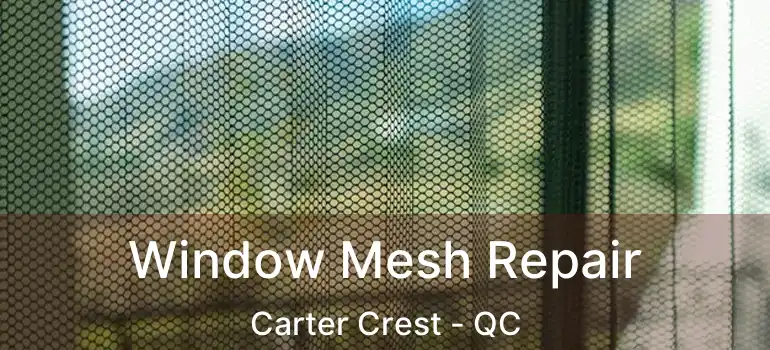  Window Mesh Repair Carter Crest - QC