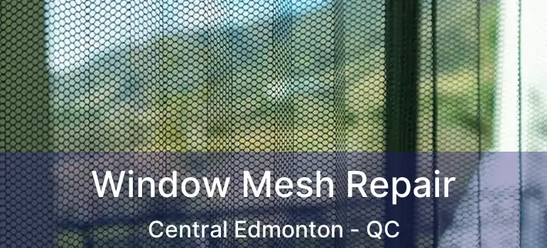  Window Mesh Repair Central Edmonton - QC