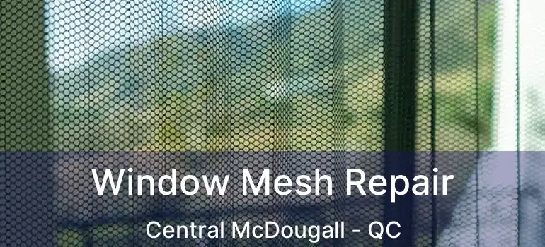 Window Mesh Repair Central McDougall - QC