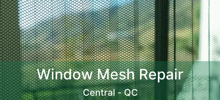  Window Mesh Repair Central - QC