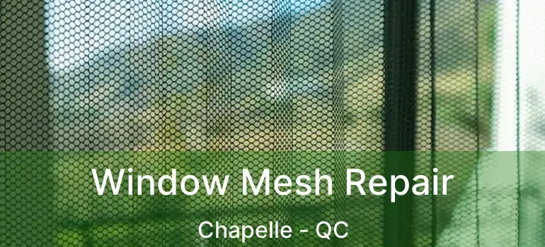  Window Mesh Repair Chapelle - QC