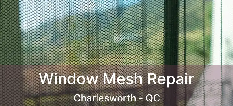  Window Mesh Repair Charlesworth - QC