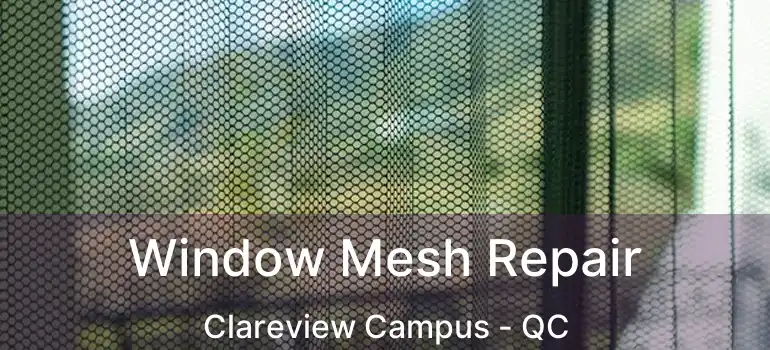  Window Mesh Repair Clareview Campus - QC