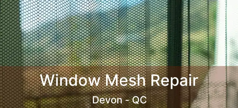  Window Mesh Repair Devon - QC