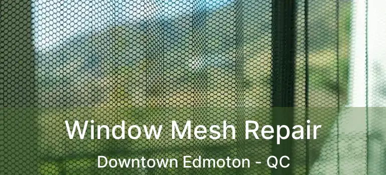  Window Mesh Repair Downtown Edmoton - QC