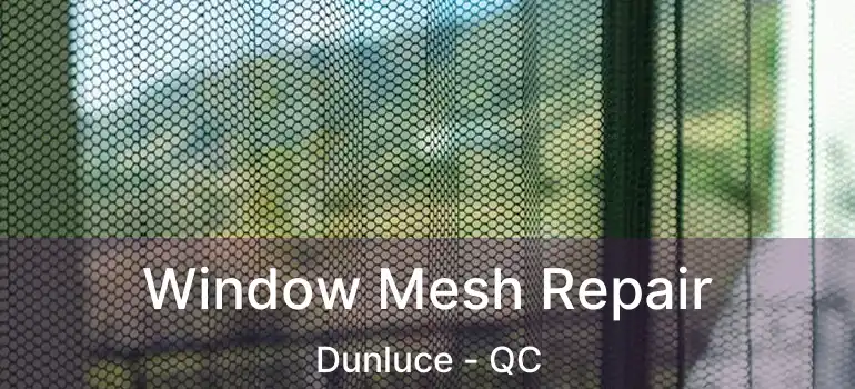  Window Mesh Repair Dunluce - QC