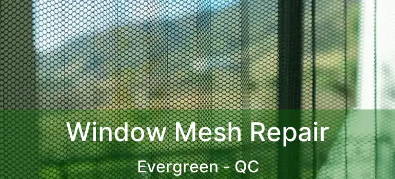  Window Mesh Repair Evergreen - QC
