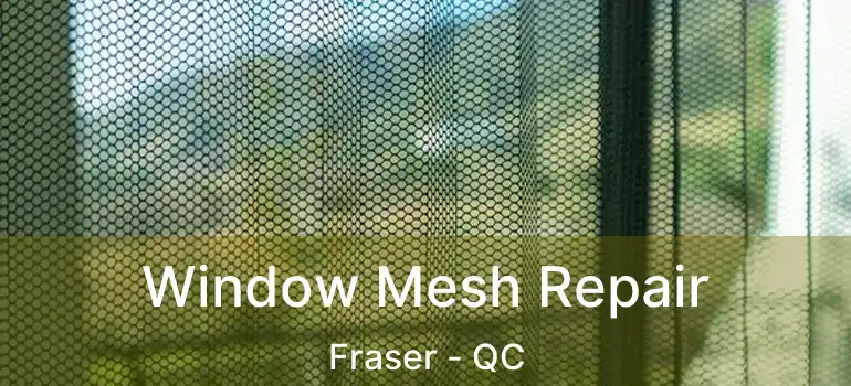  Window Mesh Repair Fraser - QC