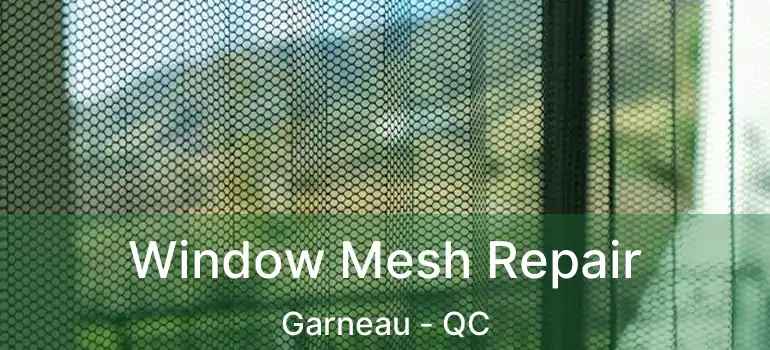  Window Mesh Repair Garneau - QC