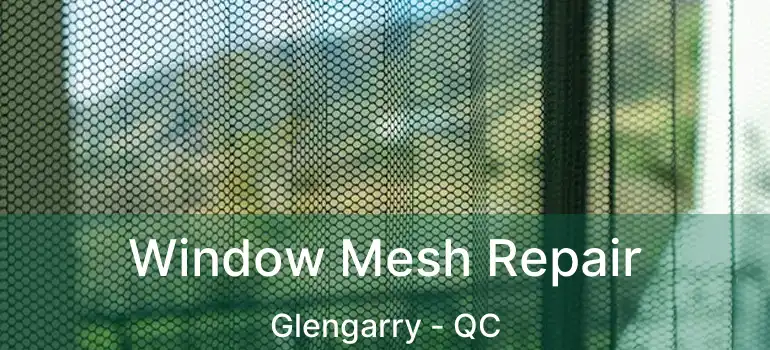  Window Mesh Repair Glengarry - QC