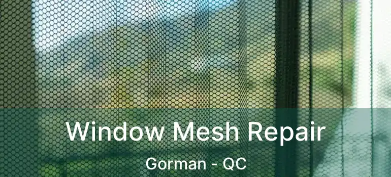  Window Mesh Repair Gorman - QC