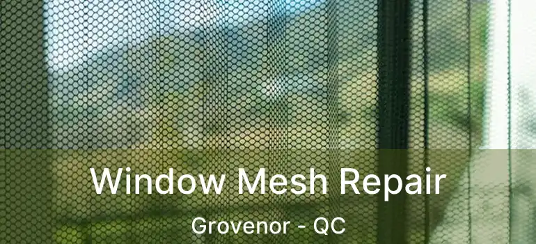  Window Mesh Repair Grovenor - QC