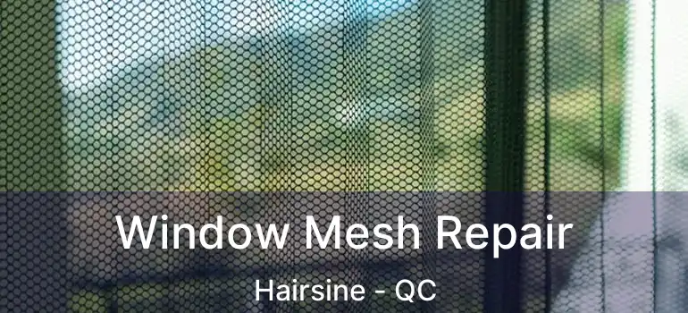  Window Mesh Repair Hairsine - QC