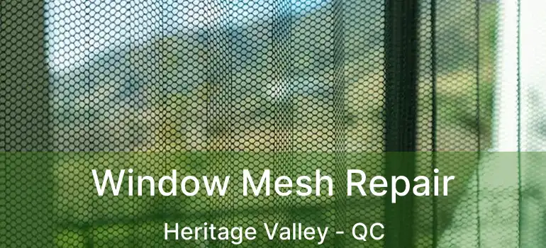  Window Mesh Repair Heritage Valley - QC