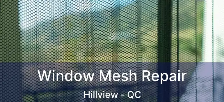  Window Mesh Repair Hillview - QC