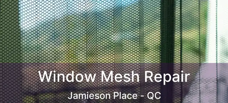  Window Mesh Repair Jamieson Place - QC