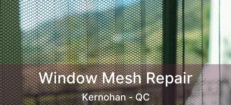  Window Mesh Repair Kernohan - QC