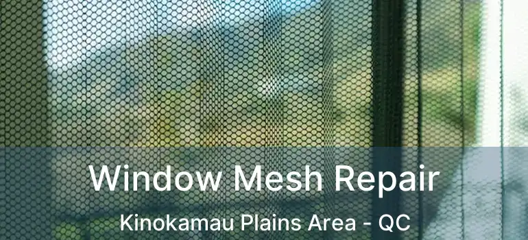  Window Mesh Repair Kinokamau Plains Area - QC