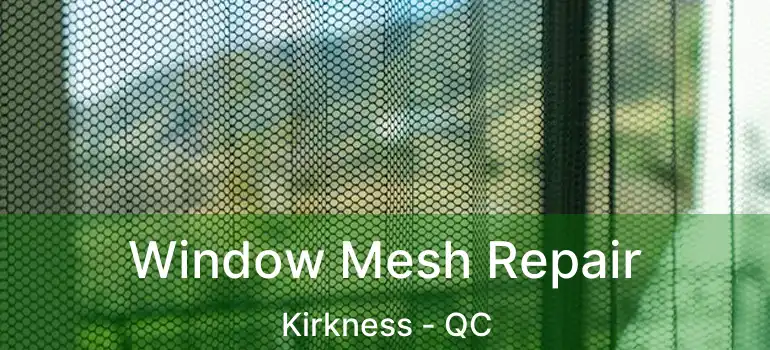  Window Mesh Repair Kirkness - QC